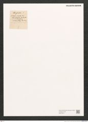 Surirella sp. (de-Toni-Nr.: Genus 53) Zeichnungen Sammlung Grunow (NHMW-BOT-W0373011)
